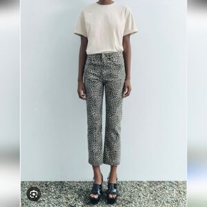 Zara Leopard Print Pants in Black and Gray